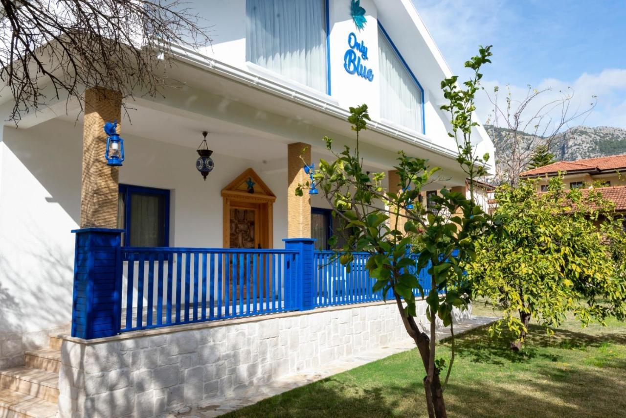 Only Blue Villa ギョジェク エクステリア 写真